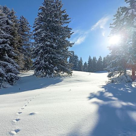 Ferien In Der Region Lenzerheide Lägenhet Exteriör bild