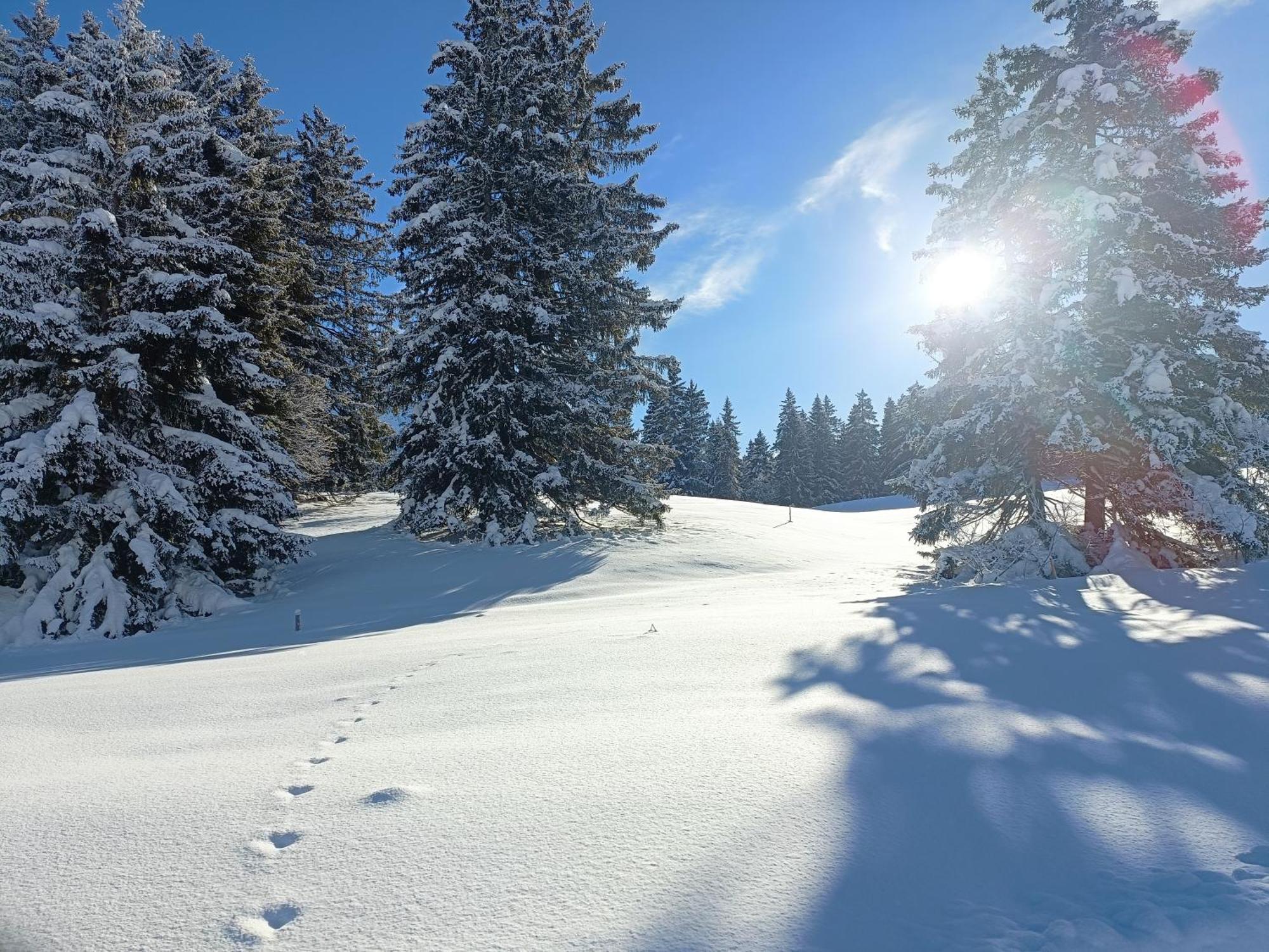 Ferien In Der Region Lenzerheide Lägenhet Exteriör bild